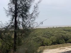 -北海金海湾红树林生态旅游区