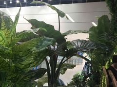 -青柠记忆泰式海鲜火锅(合生汇购物中心店)