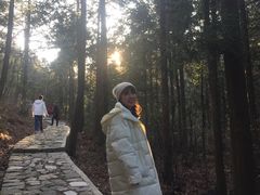 -四明山国家森林公园