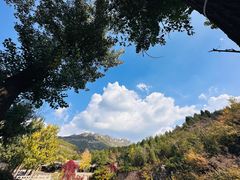 -烧肉馆(古北水镇景区店)