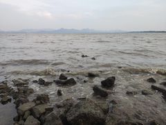 -深圳湾公园(南山区)