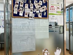 -宠颐生中康贝怡动物医院