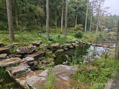 -溪口商量岗景区