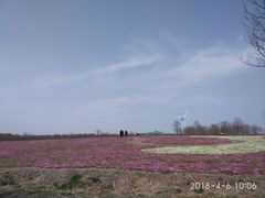 -东海森林温泉度假酒店