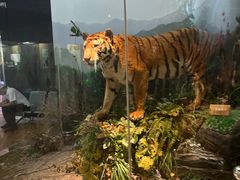 -陕西自然博物馆