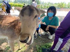 -北京麋鹿生态实验中心