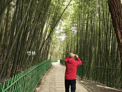 -四门塔风景区