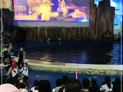 -华夏文旅海洋公园