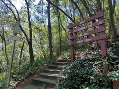 -仙岳公园