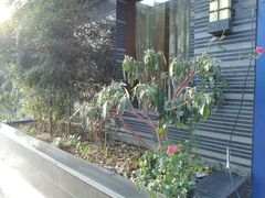 -碧露轩·大益茶体验馆(镇江路店)
