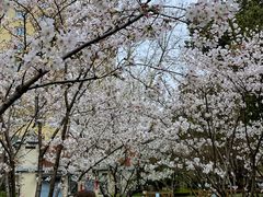 -徐家汇源景区-衡山公园