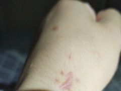 -上海市静安区闸北中心医院