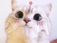 -肯德基(北京南站店)