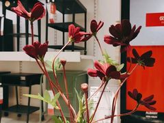 -宜家家居(哈尔滨商场店)