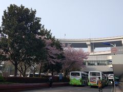 -上海南浦大桥长途旅游客运站