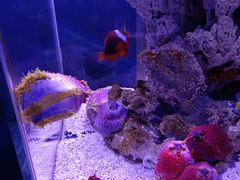 -太平洋海底世界