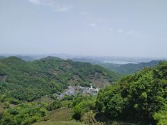 -龙井村