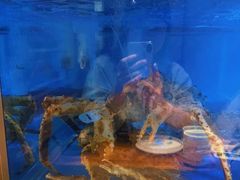 水产区-酒吞(七宝领展广场店)