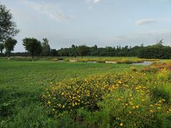 -汉长安城未央宫国家考古遗址公园