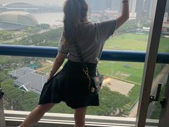 -新加坡瑞士史丹福酒店