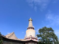 -张掖大佛寺景区