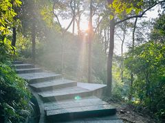 -火炉山森林公园