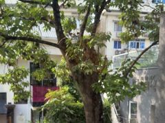 -邈墨茶馆(凤起路店)