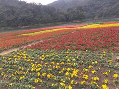-广州市石门国家森林公园