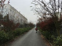 -夏河溪乡野公园