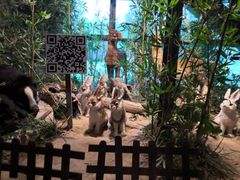 -黄海国家森林公园