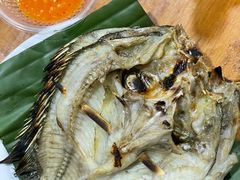 -杨合林啊兰烤鱼