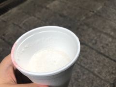 -洪馨椰子