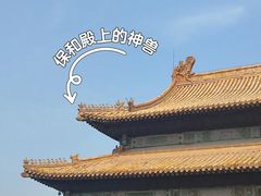 -故宫博物院(故宫)