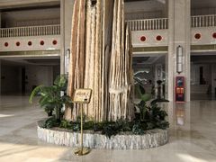 -兴芮温泉度假区