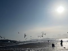 -青岛第一海水浴场