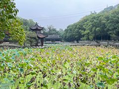 -忠山公园