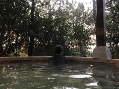 -天目湖涵田半山温泉