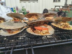 -海韵乐宿露营民宿