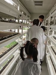 -麦粒鸟亲子游