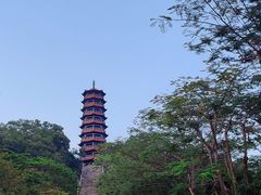 -红花山公园