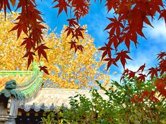 -湛山寺