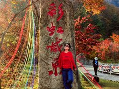 -丹东天桥沟景区