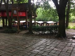 -同里国家湿地公园