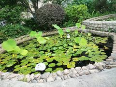 -活水公园