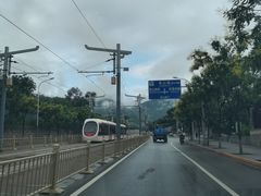 -国家植物园南园