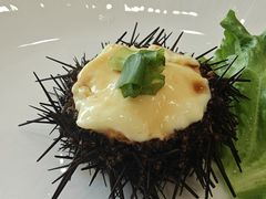 海胆蒸蛋-大丰收海鲜地方菜馆