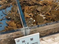-澜悦港海鲜体验主题餐厅