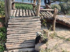 -黔灵山公园