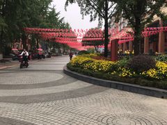 -神仙树公园