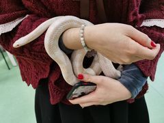 -藦茜花园宠物主题亲子互动体验馆(国顺东路店)